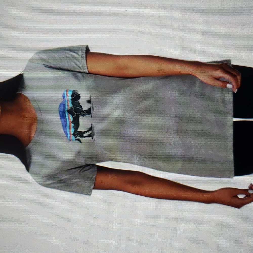 Patagonia FITZ ROY BISON Crew T-Shirt Sz S - Picture 2 of 7